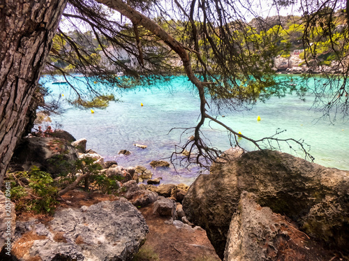 Baie méditerranéenne turquoise avec arbre penché sur rochers et eau cristalline sous ciel bleu