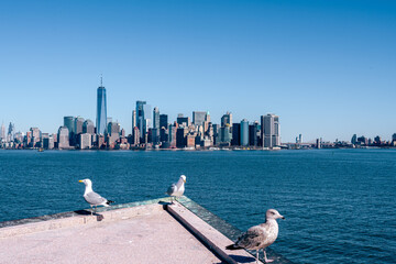 NYC skyline framed by seagulls