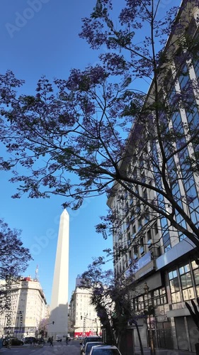 The violet jacaranda trees and buildings of Roque Saenz Peña Avenue with the Obelisk in the background on a sunny day in Buenos Aires Argentina.