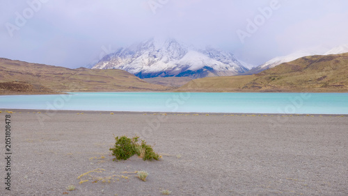 an early morning shot of the shoreline of laguna amarga at torres del paine national park in patagonia, chile