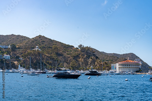 Принти на полотні boats in the bay of catalina island california