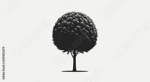 Bild auf Leinwand Black Silhouette of a Tree.