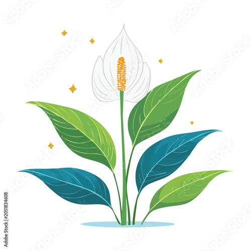 Flat illustration of a Peace Lily flower with green leaves