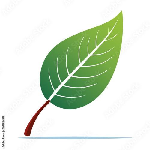 Green leaf illustration with white veins and brown stem