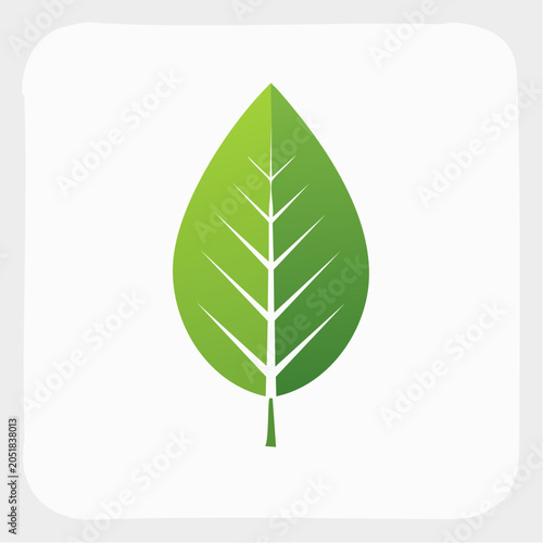 Green leaf icon with veins