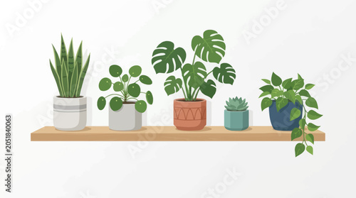 Variety of Potted Houseplants on Shelf.