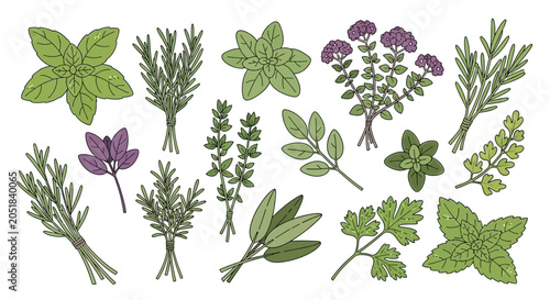 Foto Variety of herbs and plants.