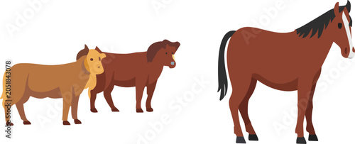 Fotografie Horse Family Vector Illustration Set with Adult Horse and Ponies