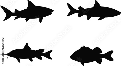 Photos Black fish and shark silhouettes vector icon set with predatory marine sea creat