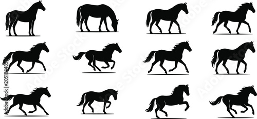 Fotografie Horse Silhouette Collection Featuring Standing Grazing Walking Running and Gallo