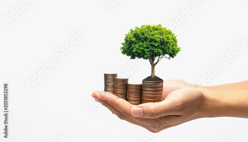 Hand holding coin stacks with a tree, representing financial growth and investment