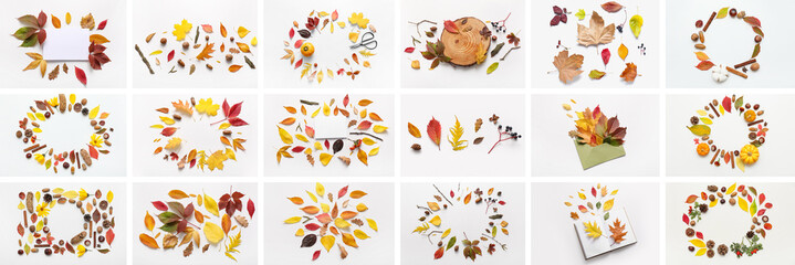 Autumnal flat lay collection with colorful leaves, pumpkins, and natural elements on white background for seasonal design