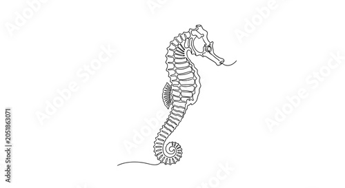 Bild auf Leinwand Elegant Seahorse Silhouette, Ocean Life Illustration, Minimalist Marine Animal A