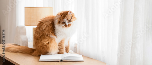 Cute red cat in eyeglasses ...