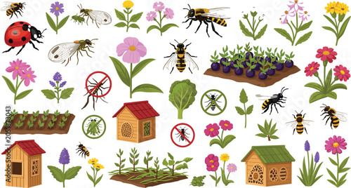 фотографія Beneficial insects and natural pest control infographic set featuring insect ho