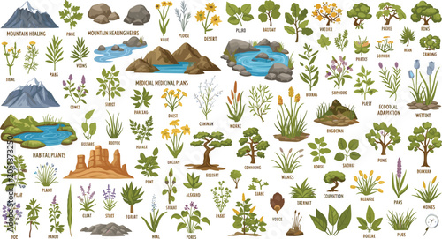 Tableau sur toile Botanical medicinal plants and wild ecosystems vector icons set featuring mounta