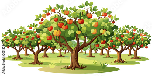A orchard with apple trees bearing ripe red and yellow apples set in a lush green field apple picking fruit tree