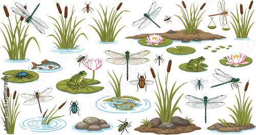 Foto Freshwater pond ecosystem vector illustrations set featuring dragonflies frogs