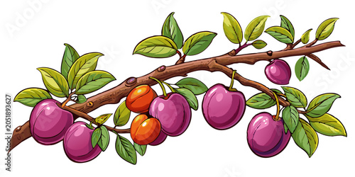A branch with ripe plums and apricots hanging from it surrounded by green leaves fruit tree fruit illustration fruit drawing fruit vector fruit art fruit image fruit stock
