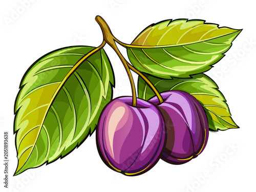 Two purple plums with green leaves on a white background fruit tree fruit branch fruit illustration fruit drawing fruit vector fruit art fruit design fruit image