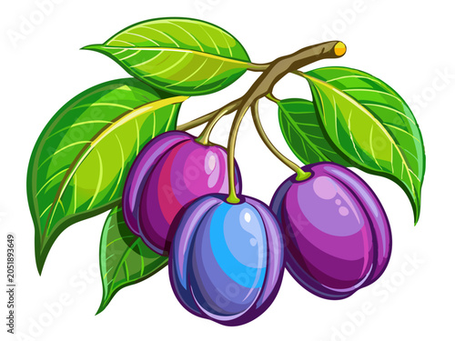 Three purple plums with green leaves on a white background fruit tree fruit branch fruit illustration fruit drawing fruit vector fruit art fruit design fruit image
