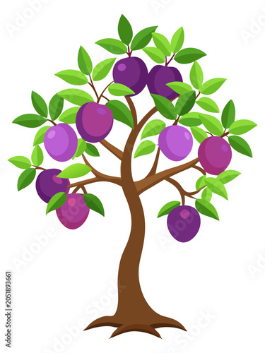 Plum tree with purple and pink fruits and green leaves fruit tree fruit bearing bear fruit illustration cartoon tree cartoon berries cartoon branches cartoon nature