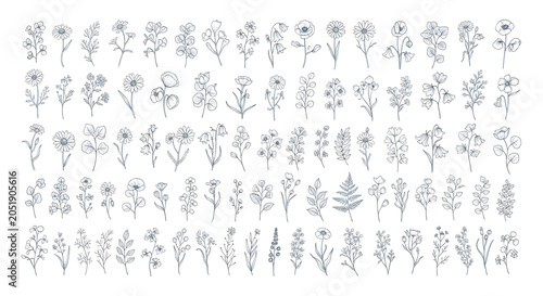 40 Botanical Icons, Floral Elements, Line Drawings, Gray Illustrations