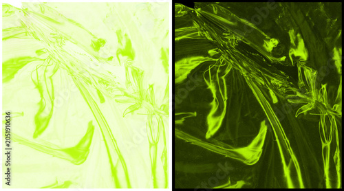 Foto Abstract lime green organic textures, microscopic plant cell structures in neon