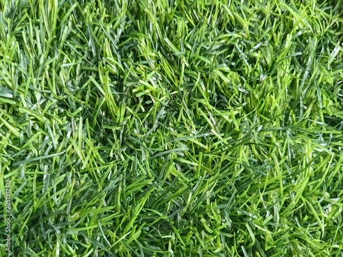 Fotografía Dense, synthetic grass with a vibrant green color