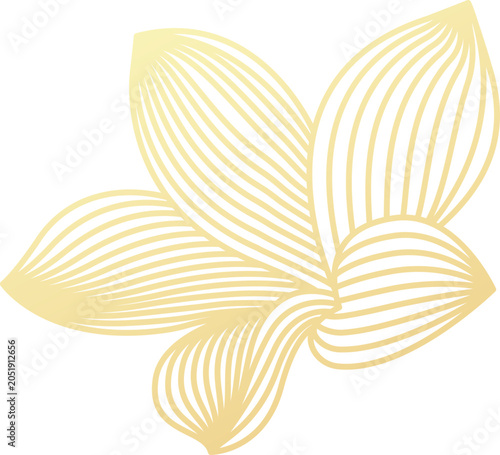Gold line art flower illustration