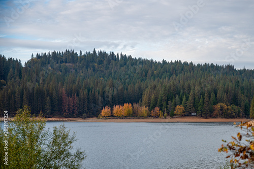 Dense pine forest with autumn foliage patch across a mountain lake