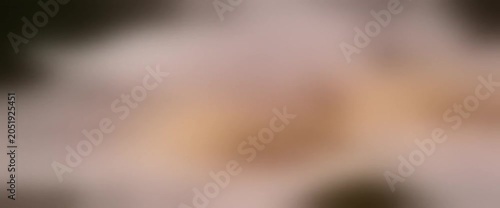 Soft Defocused Scene Animation