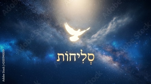 Selichot, white dove silhouette beneath starry night sky with subtle clouds and divine glow