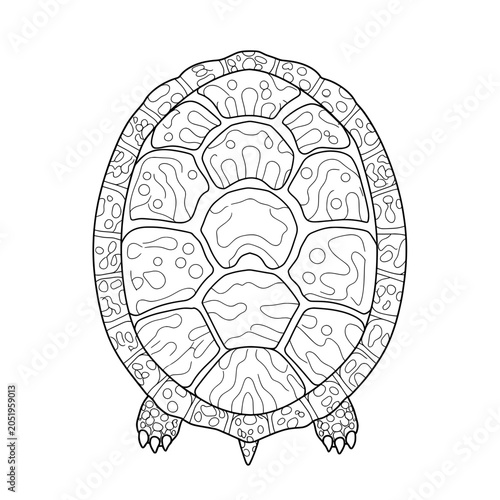 Turtle shell artwork; black line art