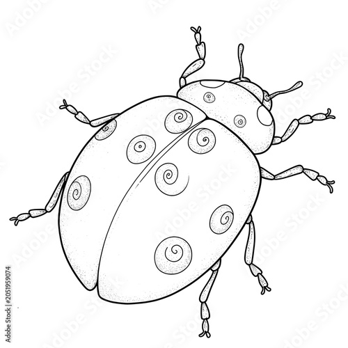 Ladybug with spirals spots, thin outlines, legs and antennas, illustration in monochrome