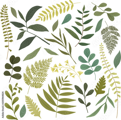 A vibrant collection of diverse green leaves and fern fronds scattered on a white background, showcasing various botanical textures and shapes.