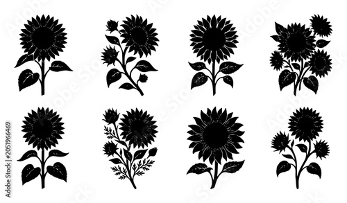 Vászonkép Sunflower silhouette vector assortment featuring eight botanical flower designs