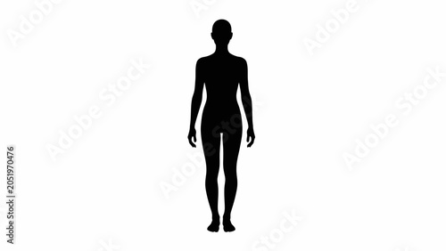 Full Body Silhouette of a Person Standing Against a White Background