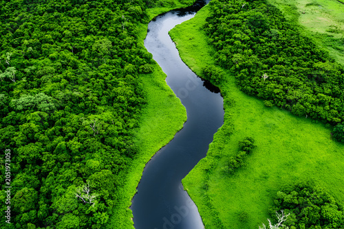 Winding River Through the Emerald Forest