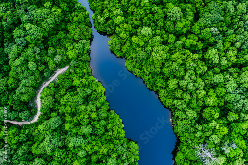 Aerial View of a Lush Green River Valley
