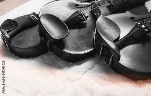 Three Beautiful Wooden violins with chinrest,show detail of acoustic instrument,