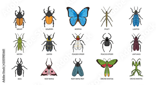 Foto Collection of Diverse Insects and Arthropods Illustration