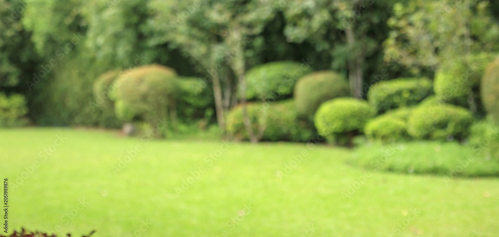 Obraz premium Abstract blur green park garden for background
