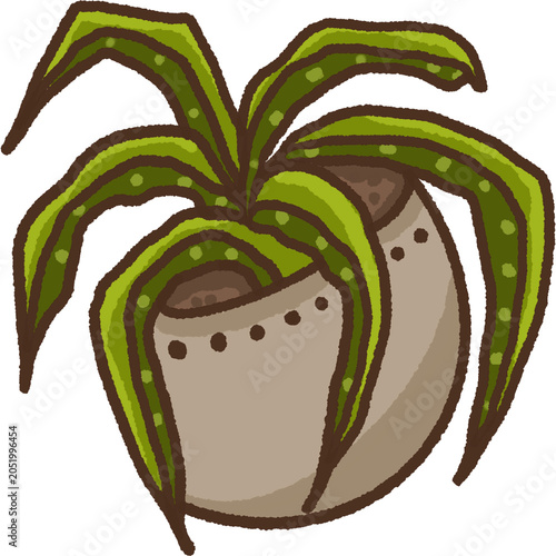 Indoor Plant Pot Drawing