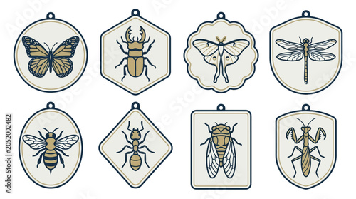 Tableau sur toile Insects in various shapes and forms.