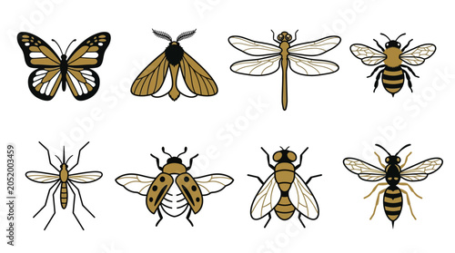Foto Insects Butterflies Bees Dragonflies Flies.