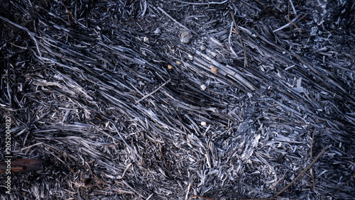 Foto Close-up top-down view of charred plant remains and grey ash