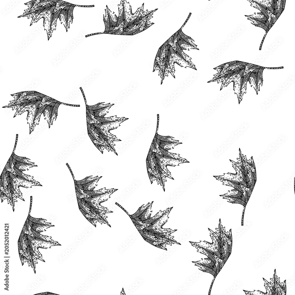 Naklejka premium seamless pattern maple leaf hand drawn. red, fall foliage maple leaf black sketch illustration