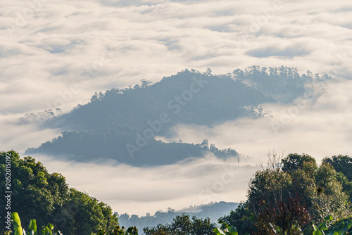 Majestic Doi Luang Chiang Dao Mountain with Sea of Mist. Huai Nam Dang National Park, Chiang Mai, Thailand.