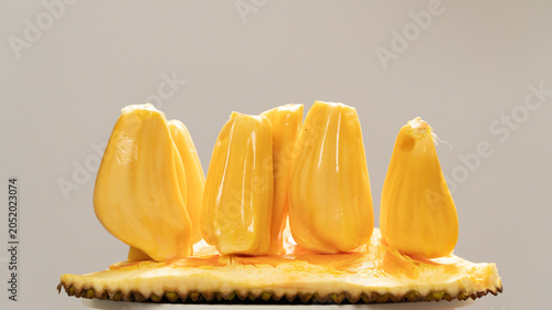 Canvastavla Fresh ripe yellow jackfruit bulbs arranged on a spiky rind piece isolated on studio background